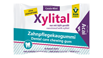 Raab - Xylital Zahnpflegekaugummi