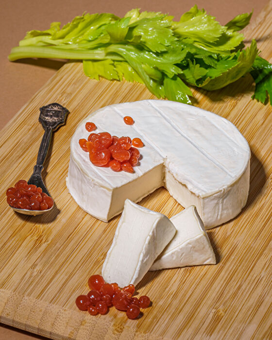 Veganer Camembert von planeo